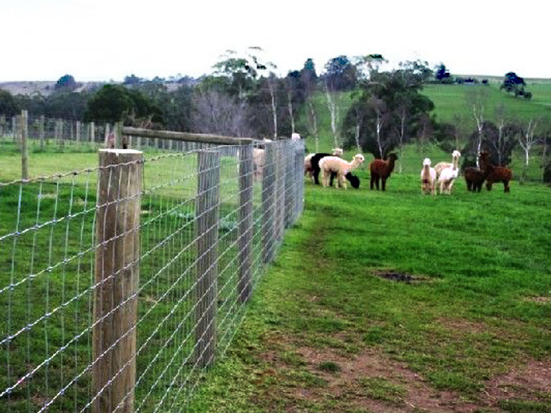 farm-fence